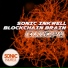 Sonic Inkwell, Blockchain Brain