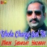 Malik Sadaqat Hazarvi