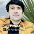 Wazir Pardes
