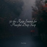 Nature Sounds Nature Music, Wellness, Calm shores