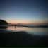 Cyber Flora