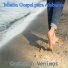 Misión Gospel para Alabanza