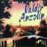 Valdir Anzolin