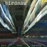 Birdsaw