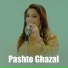 Afshan Zaibe