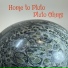 Pluto Ohms