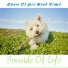 Sunside Of Life