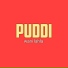 Puddi