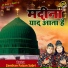 Zeeshan Faizan Sabri