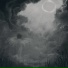 danweer, ro1anD