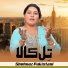 Shehnaz Pakistani