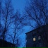 13DẞAMBIENT