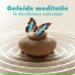 Yin Yoga Music Collection