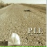 P.I.F.
