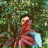 Dark Vanya