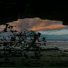Dialog Senja