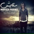 Morteza Pashaei