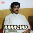 Alim Masroor