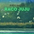 Raco Juju