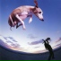 Paul Gilbert