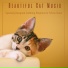 Cat Music Dreams, Cat Music Therapy