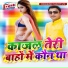 Raj Yadav Gawal