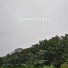 Soothing Sonics