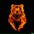 Grizzly