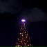 Wh01Am