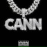 BabyCANN