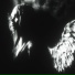 BLURRYFXCE