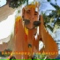 BANDANAmus