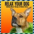 Dog Music Dreams, Dog Music, Relaxmydog