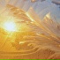 The Sleepy Sounds, Heal Today, The Relaxing Booth