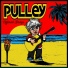 Pulley