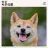 犬のための音楽, 犬の安眠ミュージック, 犬の音楽, ペット 音楽