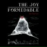 5x10. The Joy Formidable