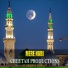 Cheetah Productions feat. Owais Ul Hassan