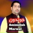 Amin Ullah Marwat