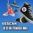 Vescan