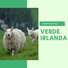 Irlanda Verde