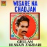 Ghulam Hussain Zardari