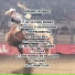 Grupo Rodeo