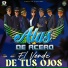 ALAS DE ACERO