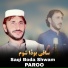 Paroo