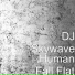 DJ Skywave
