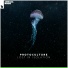 Protoculture