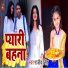 Rajiv Singh