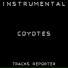 Tracks Reporter