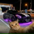 MOTOCAT